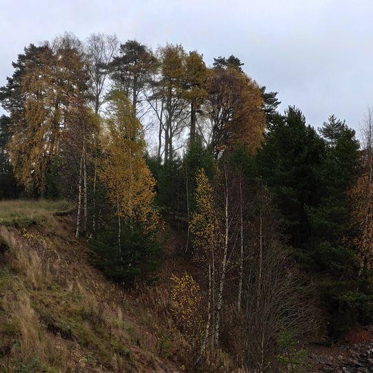 Cemetery of Kaskesoja