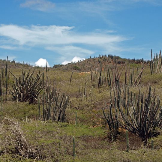 Parco nazionale di Arikok