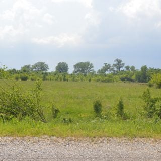Horseshoe Lake Mound and Village Site