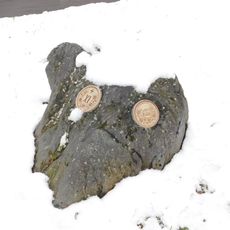 XI. zastavení křížové cesty ve Štěchovicích