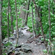 Elk Knob State Park
