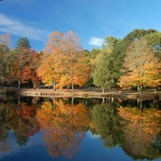 Stamford Museum & Nature Center