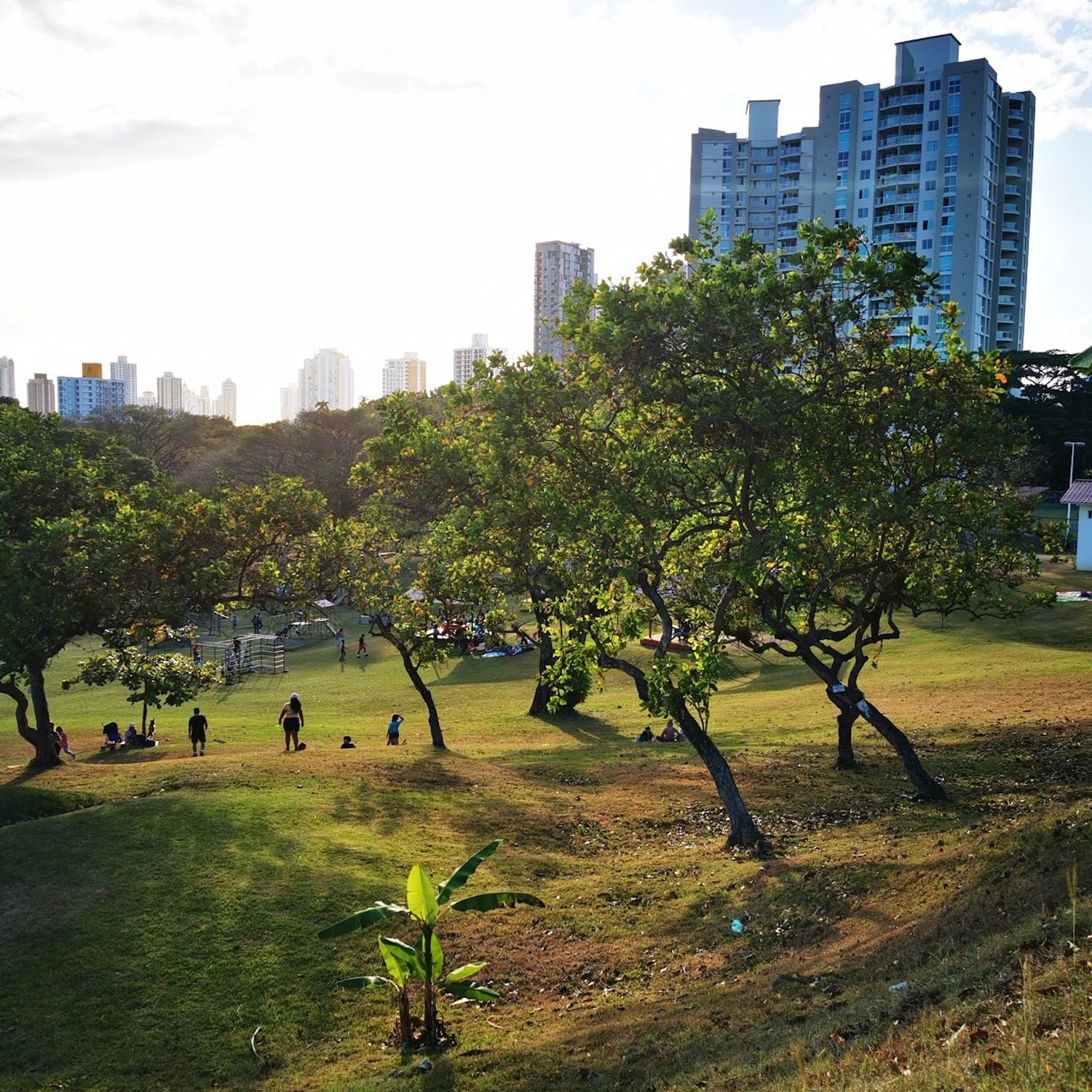 Parque Recreativo y Cultural Omar - Parque urbano en San Francisco ...