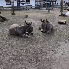 Tierpark Mingolsheim