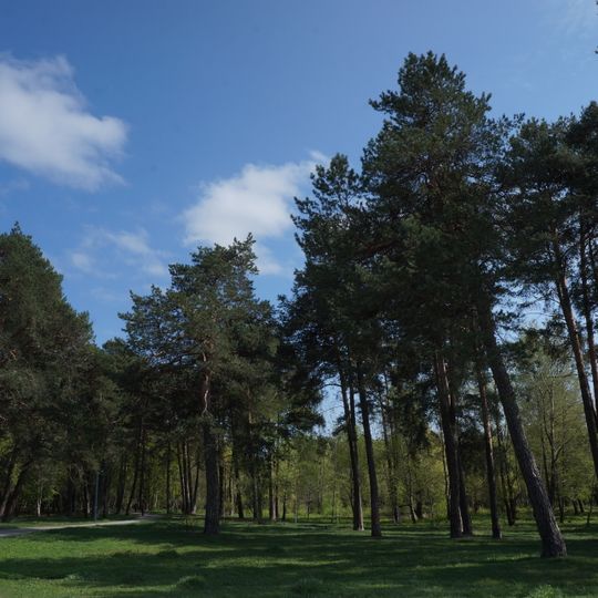 Shepetivka Forestry Preserve