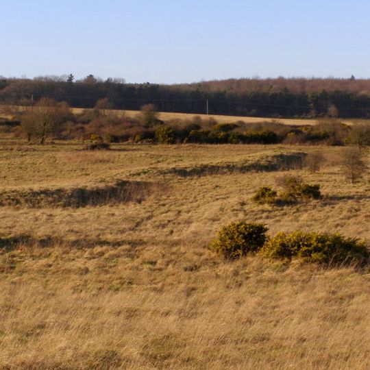 Bronze Age and Romano-British enclosure on Martin Down, east of Bokerley Junction