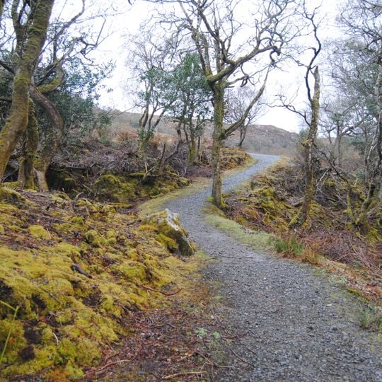Glenveagh Deer Forest