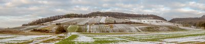 Panoramic View 1