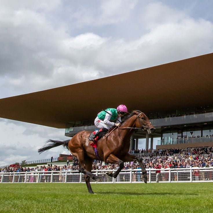Ippodromo e terreni del Curragh