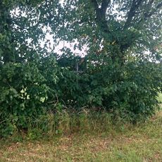 Kříž jižně od Chotčin