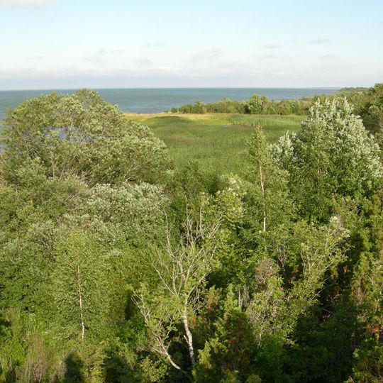 Muhu