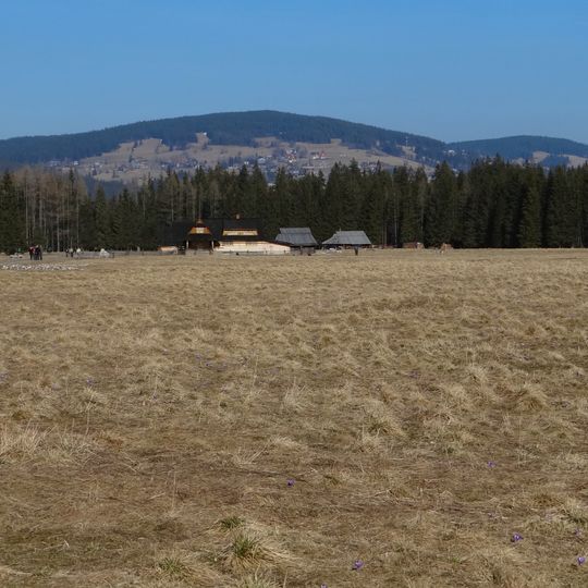 Palenica Kościeliska