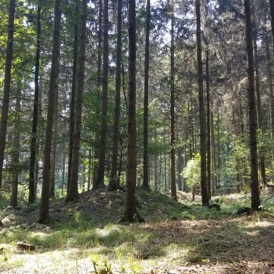 Hügelgräberfeld Feiting