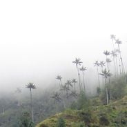 コロンビアを違った形で: 山道、植民地時代の建物、そして印象的な景観