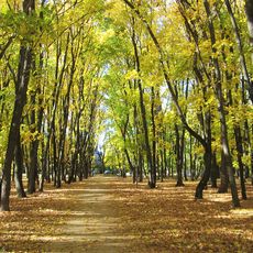 Arboretum of VSFTU
