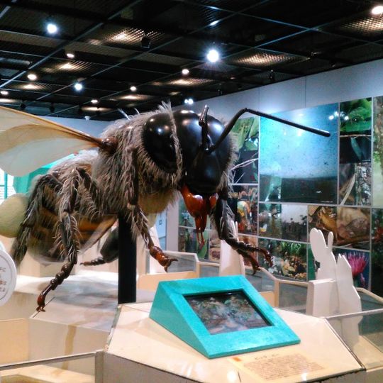 Itami City Insectarium