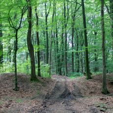 Ringwallanlage Oberburghof