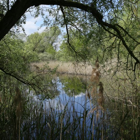 See an der Merschheimer Lache bei Trebur