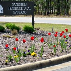 Sandhills Horticultural Gardens