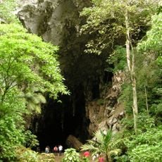 Alexander Humboldt Natural Monument