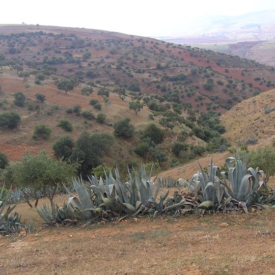 Provincia de Relizan