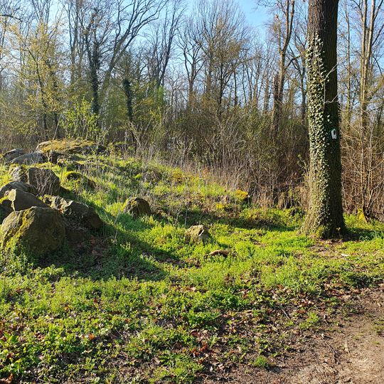 Tempelwacken in Droyßig