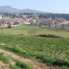 Quintana de la Torre