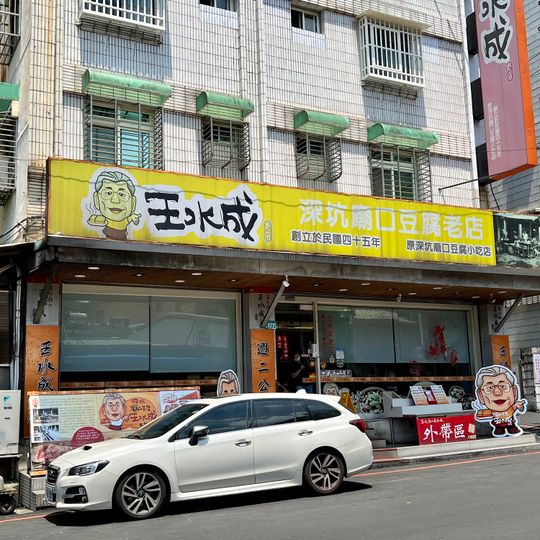Wangshuicheng Stinky Tofu