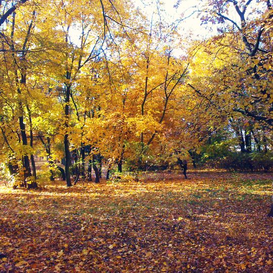 Park Górczyński w Poznaniu