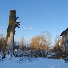 Klovainių ąžuolas