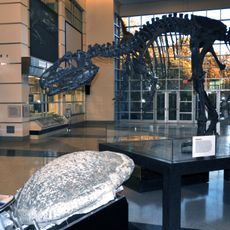 Museo de Historia Natural de Virginia