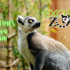 Exotic Zoo Wildlife Park