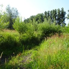 Wetland u Slováckých strojíren