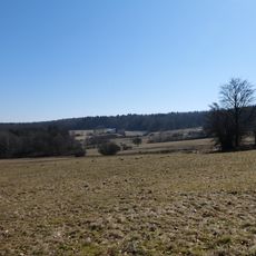 Neudorfwiesen bei Steinau