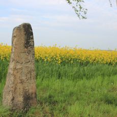 Kreuzstein (an der Straße von Schmochtitz nach Loga)