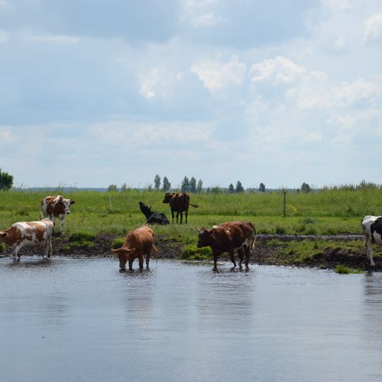 Parco nazionale del fiume Biebrza