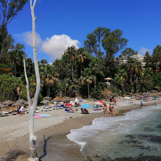 Playa Las Viborillas