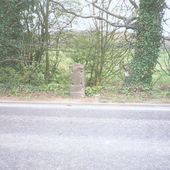 Milestone, Peasedown Flat, nr entrance to Woodborough House