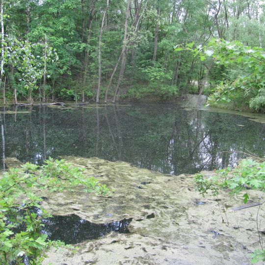Ziegeleigruben Prohlis und Torna