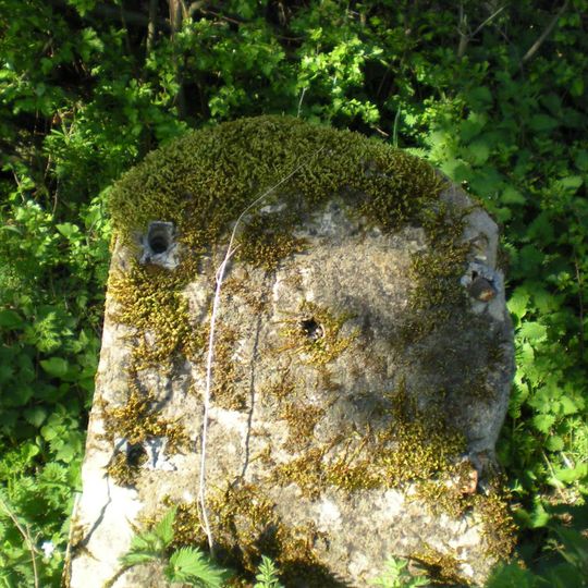 Milestone, roadside at SP1229