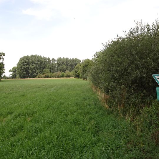 Naturschutzgebiet Altneckarlachen von Alsbach, Hähnlein und Bickenbach