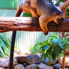 David Fleay Wildlife Park