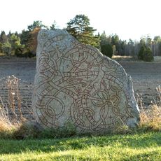 Uppland Runic Inscription 893