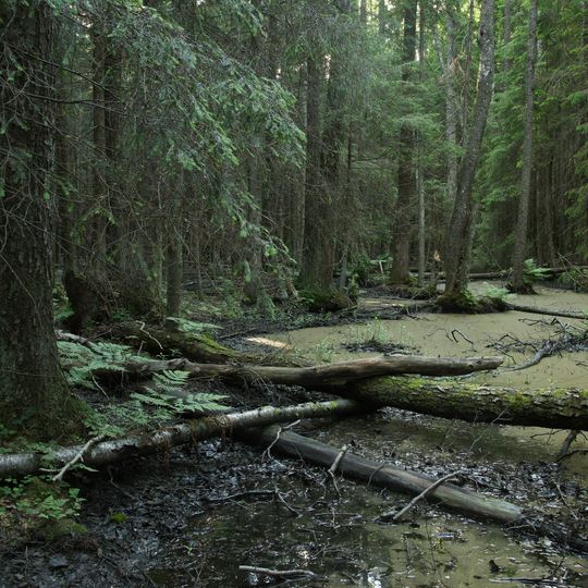 Rezerwat przyrody Tahkuna