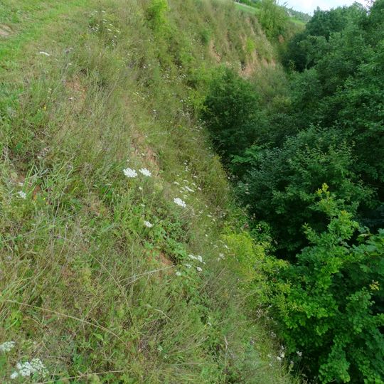 Raudonskardžio atodanga