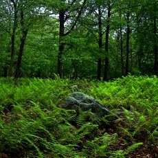 Promised Land State Park