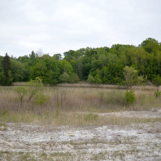 Amphibienbiotope an der Hohen Warte