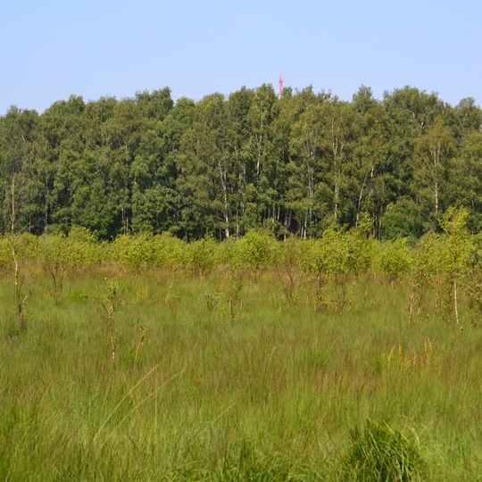 Buttermoor/Butterbargsmoor