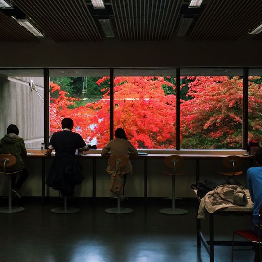 Fraser International College