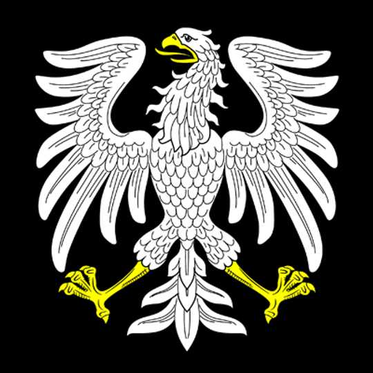 Tyosovskoye rural settlement